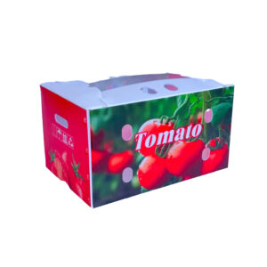 Produce PP Corrugated Boxes